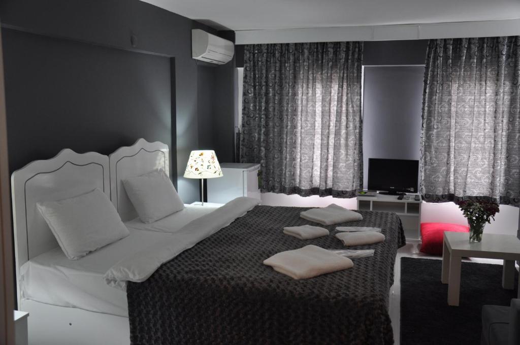 Aristo Galata Suites 伊斯坦布尔 客房 照片