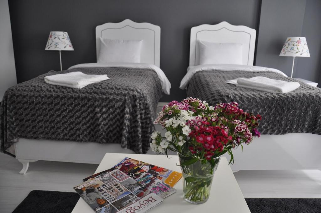 Aristo Galata Suites 伊斯坦布尔 客房 照片