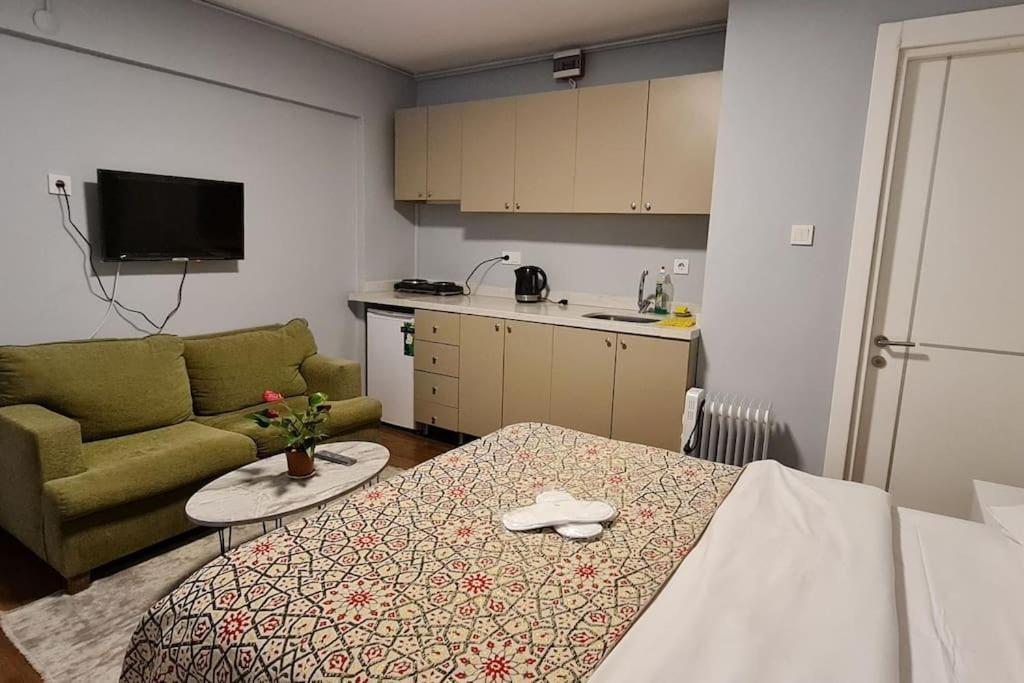 Aristo Galata Suites 伊斯坦布尔 外观 照片